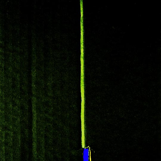 cardboard object photograph peter harris